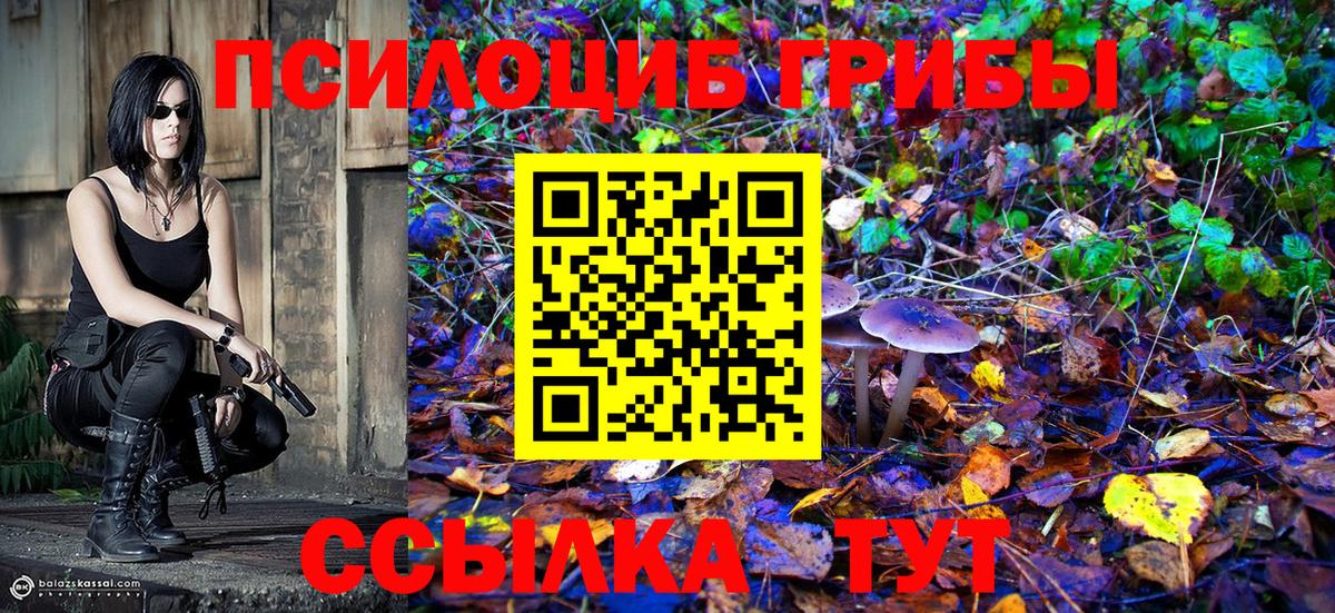 Галлюциногенные грибы мицелий  Вход с VPN  Норильск 