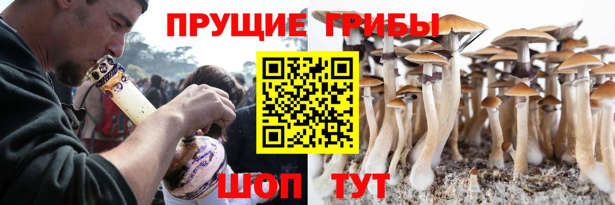 Галлюциногенные грибы Cubensis Норильск